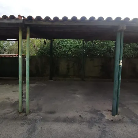 Appartement Orchidea Bianca *